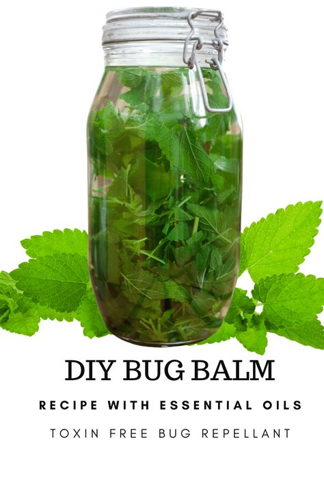 🌿🌞 Say hello to a bug-free life with these natural DIY solutions! 🌟🦟 Learn to make DIY bug spray and a homemade bug balm using essential oils like Lemon Balm. 🌼✨ Perfect for those who love the outdoors but hate the bites. 🌲🌺 Get ready for a magical summer! 🧙‍♀️💚 #DIYBugBalm #NaturalRepellent #EssentialOils Lemon Balm Bug Spray, Essential Oil Bug Repellent, Essential Oil Bug Spray, Diy Bug Repellent, Homemade Bug Spray, Diy Bug Spray, Bug Spray Recipe, Citronella Essential Oil, Natural Repellent