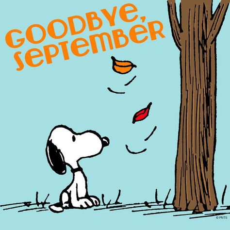 Goodbye, September october goodbye september goodbye hello september Snoopy October, Goodbye September, September Pictures, Charlie Brown Quotes, Peanuts Party, Thanksgiving Wallpaper, Snoopy Images, Hello September, Peanuts Cartoon