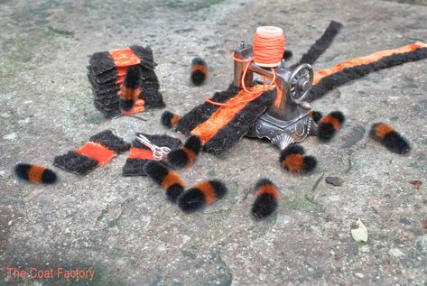 the woolly bear project - RAINEYROOST Wooly Bear Caterpillar, Woolly Bear, Tiger Moth, Caterpillar, Old Things