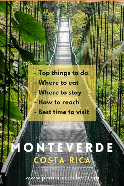 Monteverde is a cloud forest haven in Costa Rica offering opportunities to explore its rich biodiversity, zip-line tours and much more. Check out the article for details on the best things to do in Monteverde, best time to visit, how to reach, where to stay and where to eat. Costa Rica Monteverde, Cloud Forest Costa Rica, Travel To Costa Rica, Monteverde Costa Rica, Costa Rica Adventures, Costa Rica Honeymoon, Travel Costa Rica, Costa Rica Travel Guide, Sky Adventure