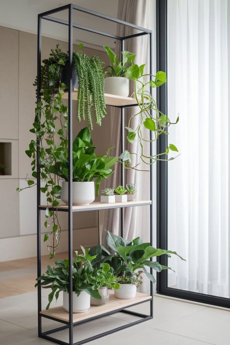 Elevate your home decor with a modern indoor plant shelf. This elegant setup combines a black metal frame, wooden shelves, and lush greenery. Perfectly placed near neutral walls and natural lighting, it blends simplicity and sophistication for a serene vibe. #MinimalistDecor #IndoorPlants #ModernHomeStyle #PlantLovers #GreenLiving #HomeAesthetics #CozySpaces #PlantShelfIdeas #NaturalVibes #ModernDecor Plant Window Ideas, Grow Shelf, Plant Shelf Ideas, Indoor Plant Shelf, Plants Shelf, Indoor Plant Display, Indoor Plant Shelves, Plant Accessories, Plant Window