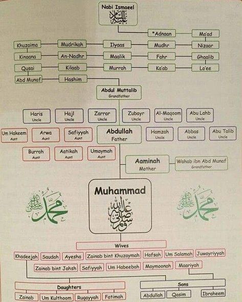 Family tree of Prophet Muhammad PBUH Family Islam, Prophets In Islam, Islam Lesson, Prophet Muhammad Quotes, Quotes Family, Islam Beliefs, Muhammad Quotes, Islam Hadith, Islamic Information