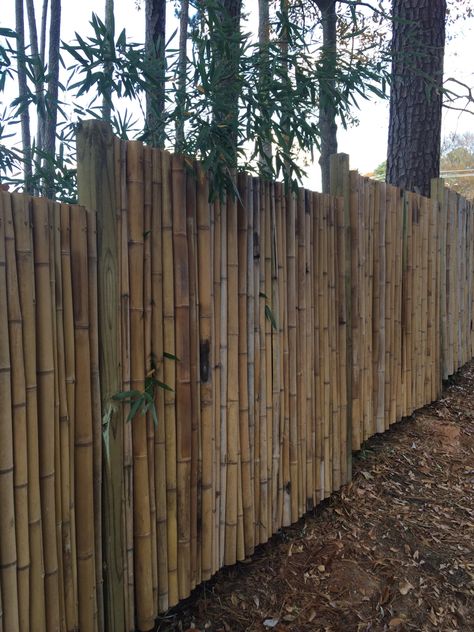 Pagar Modern, Bamboo Garden Fences, Bamboo Diy, Rustic Fence, Cheap Fence, Bamboo Decor, Types Of Fences, Diy Fence, Front Yard Fence