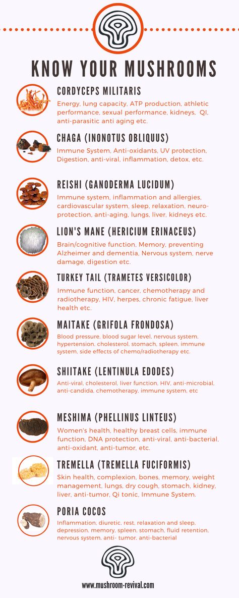 Adaptogen Mushroom Benefits, Health Benefits Of Lions Mane, Turkey Tail Benefits, Tremella Mushroom Recipes, Mushrooms For Healing, Mushroom Turkey Tail, Medicinal Mushroom Benefits, Maitake Mushroom Benefits, Turkey Tail Mushroom Recipes