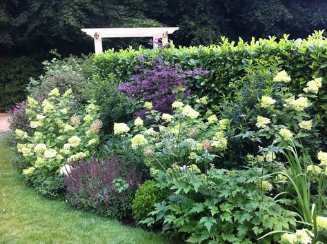 Planting with Hydrangea paniculata 'limelight' Acer palmatum 'Bloodgood' and Salvia nemrosa Caradonna. Oak pergola in background. Hydrangea Garden Border, Hydrangea And Salvia, Iris And Hydrangea Garden, Hydrangea And Allium Garden, Hydrangea Limelight Combination, Hydrangea Bed, Driveway Planting, Hydrangea Border, Hydrangea Limelight