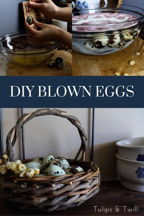 Egg Blowing How To Decorate, Blown Egg Crafts, Quail Egg Crafts, Pascha Basket, Natural Easter Decor, Blown Eggs, Eggs In A Basket, Eggs For Easter, Spring Treats