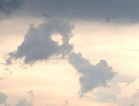 When it decided to show how baby clouds are made. 24 Times The Universe Decided To Prove It Has A Better Sense Of Humour Than You Funny Christmas Sayings, Uber Humor, Crazy Jokes, Timing Is Everything, One Job, Dirty Mind, Nature Wildlife, Funny Animal Pictures, Professional Photography