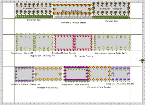 Garden Plan - Back 4ft beds Flower Farm Plan, Cut Flower Garden Plans Layout, Flower Farm Layout Ideas, Small Flower Farm Layout, You Pick Flower Farm Layout, Rectangle Flower Bed, Backyard Cut Flower Garden, Flower Farm Layout, Flower Cut Garden