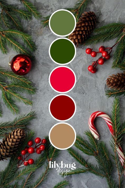 #christmas color schemes #christmas tree color schemes #christmas colors #christmas color palette #christmas tree colour scheme Color Schemes Christmas, Christmas Colour Palette, Fall Halloween Nails, Christmas Tree Color Schemes, Halloween Nails Ideas, Christmas Tree Colour Scheme, Xmas Color, Christmas Palette, Christmas Color Palette