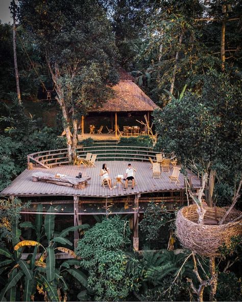 English Modern, Tenda Camping, Jungle Resort, Jungle House, Resort Architecture, Bali Holidays, Cool Tree Houses, Tree House Designs, Bamboo House