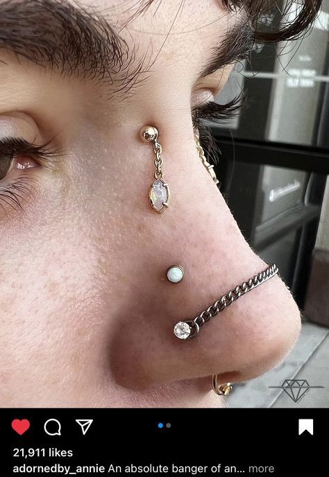 Piercing Apprenticeship, Piercing Set Up, Double Nostril, Bridge Piercing, Belly Button Piercing Jewelry, Cool Piercings, Piercings Unique, Old Bridge, Be Unique