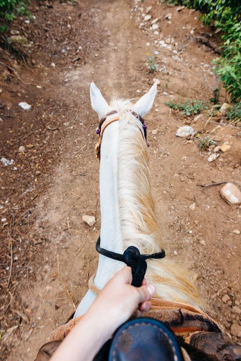 First person view of a person riding a horse on a dirt path. The photo is taken by the rider. Grooming Horse, Western Horse Riding, Trail Riding Horses, Horse Trails, Horse Nutrition, Horse Behavior, Photography Horse, Horse Competition, Horse Riding Quotes