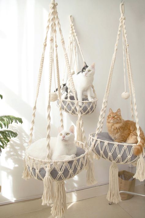 Cat Hammock Tutorial, Hammock Diy, Diy Cat Hammock, Macrame Cat Hammock, Diy Cat Bed, Katt Grejer, Kat Diy, Cat Bedroom, Pola Macrame