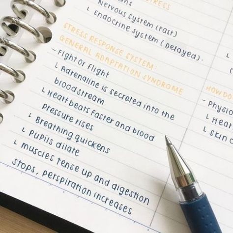 15 Note-Taking Tricks That Will Make Studying Easy - Society19 Handwriting Examples, Pretty Handwriting, Neat Handwriting, College Notes, School Organization Notes, Notes Journal, Study Organization, Notes Organization, Nice Handwriting