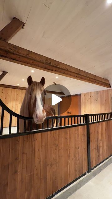 Matilde Brandt on Instagram: "Part 4 of our stable renovation series 🐴 I don’t believe in traditional ways of keeping horses in stalls but since we need a few anyways, and I wanted them to be functional, spacious and gorgeous! But my main focus is and will always be keeping horses in herds, and allowing them to decide when to go inside. Pretty stables and luxury, yes, it can combined with forage, freedom and friends ⭐️

#naturalhorsekeeping #horseherd #paddockparadise #dreamstable #stablebuild #stall #hest360 #hestno #horses #stable #horsefarm #naturalhorse" Modern Horse Barn, Stable Renovation, Luxury Horse Stables, Equine Stables, Paddock Paradise, Dream Stables, Horse Property, Horse Stables, Horse Barn