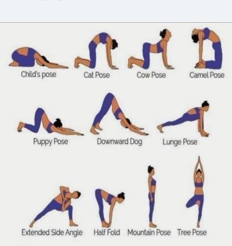 Get Taller Exercises, Grow Taller Exercises, Taller Exercises, Increase Height Exercise, Yoga Facts, Grow Taller, Daily Yoga Workout, Basic Workout, Height Increase