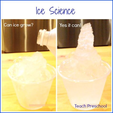 Ice Science: Making Ice Grow by Teach Preschool Pre-k Science, Winter Science, Winter Preschool, Science Games, Preschool Science, Science Experiment, Teaching Preschool, Homeschool Science, Science Experiments Kids