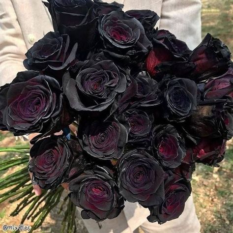 Wedding Bouquets Gothic, Dark Wedding Flowers Bouquet, Horror Theme Quince, Vampire Bouquet, Gothic Wedding Florals, Gothic Vampire Wedding, Dark Wedding Florals, Metalhead Wedding, Gothic Asethic