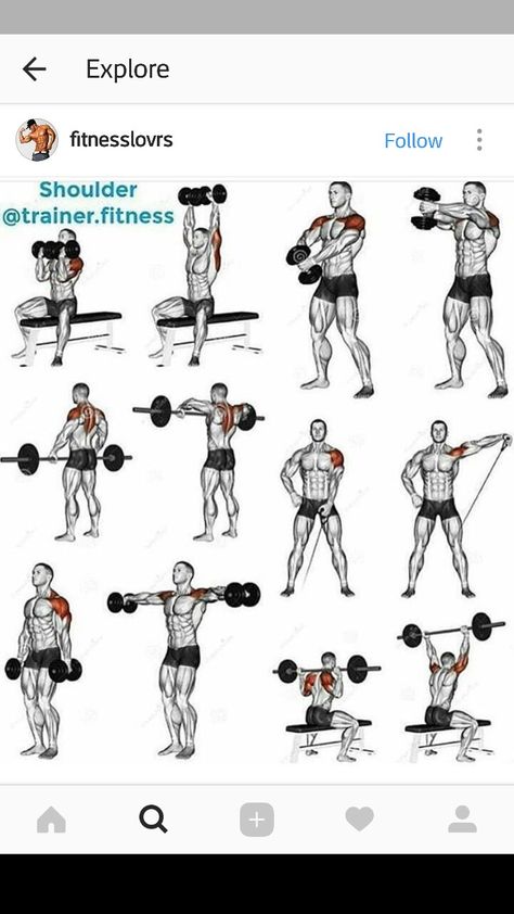 Shoulder Workout Routine, Fitness Training Plan, Gym Antrenmanları, Gym Workout Chart, Gym Workouts For Men, Training Workouts, Workout Posters, Muscle Building Workouts, Weight Training Workouts