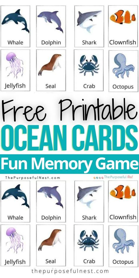 Ocean Animal Memory Cards Ocean Activities Preschool Montessori, Sea Week Preschool, Sea Animal Toddler Activities, Sea Animal Theme Preschool, Ocean Life Math Activities For Preschool, Sealife Activities Preschool, Montessori Sea Life Activities, Sea Animals Activity Preschool, Ocean Animals Preschool Theme