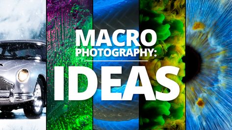 Amazing Macro Photography, Creative Macro Photography, Macro Photography Ideas, Ice Photography, Macro Pictures, Macro Photography Tutorial, Macro Photographers, Abstract Cloud, Epic Photos