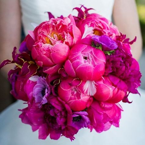 Hot Pink Wedding Flowers, Bright Pink Wedding, Flowers 2023, Pink Wedding Bouquet, Backyard Wedding Ceremony, Gorgeous Wedding Bouquet, Tropical Wedding Inspiration, Hot Pink Weddings, Winter Wedding Bouquet