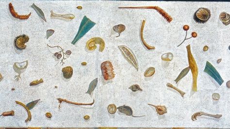 Journal of Art in Society on Twitter: "This trompe-l’œil mosaic from the dining room floor of a 2C Roman villa cleverly uses shadowing to give a realistic impression of mouse investigating a walnut & discarded food scraps. Tiles are made of glass & coloured marble, & it’s signed by Heraklitos https://t.co/A10n8CPAYn… https://t.co/leYdRjjci0" Classical Interior Design, Roman House, Dining Room Floor, Roman Villa, Classical Interior, Roman Mosaic, Food Painting, Vatican Museums, Pink Garden