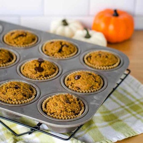 Pumpkin Chocolate Chip Muffins (Keto, Paleo, Gluten Free) Easy Pumpkin Muffin, Recipes With Almond Flour, Recipe With Chocolate Chips, Paleo Pumpkin Pie, Muffin Flavors, Pumpkin Muffins Easy, Healthy Muffin, Pumpkin Recipes Healthy, Moist Pumpkin Bread