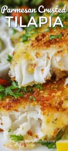 Parmesan Crusted Tilapia is easy to make! Tender tilapia filets are dipped in an egg mixture, coated with parmesan seasoned panko crumbs and pan fried till golden brown. #spendwithpennies #tilapia #fish #seafood #fishrecipe #tilapiarecipe #20minutemeal Seafood Ideas, Parmesan Crusted Tilapia, Best Fish Recipes, Tilapia Fish Recipes, Tilapia Fish, Crusted Tilapia, Fish Recipes Baked, Recipes Seafood, Tilapia Recipes