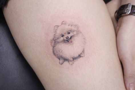 Small Pomeranian Tattoo, Pomeranian Tattoo, Tattoo Perro, Tattoo Ideas For Guys, Pet Memorial Tattoo, White Pomeranian, Tattoo Animal, Foot Tattoos For Women, Cool Tattoos For Guys