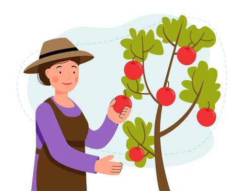 Apple Picking Drawing, People Planting Trees Drawing, Fruit Picking Illustration, Planting Trees Illustration, Peach Tree Illustration, Picking Fruit Illustration, Fruit Clipart, Fruit Picking, Garden Trees