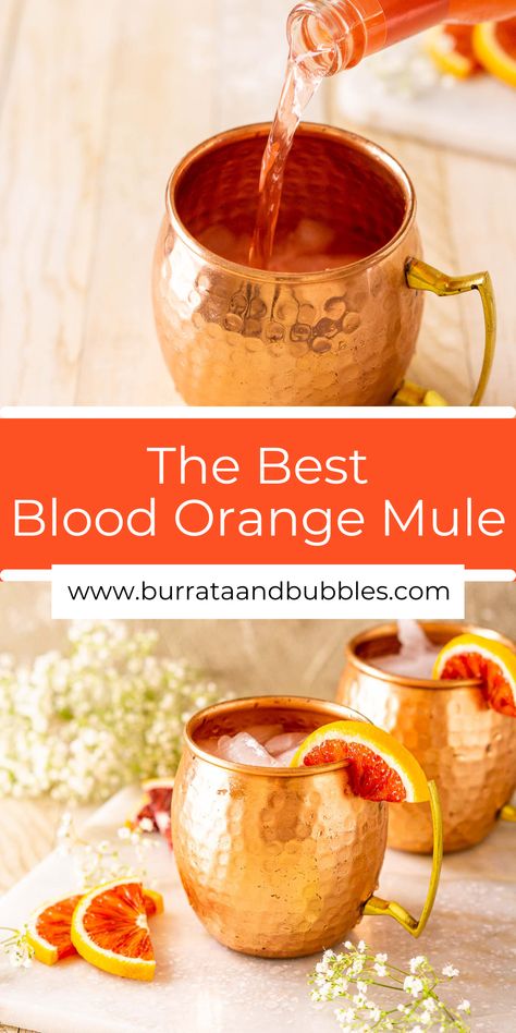 Fun Moscow Mule Recipes, Types Of Mules Drinks, Fall Mules Cocktail, Holiday Moscow Mule Pitcher, Blood Orange Ginger Beer Cocktail, Ginger Mule Cocktail, Halloween Moscow Mule, Moscow Mule Recipe Best, Orange Liquor Drinks