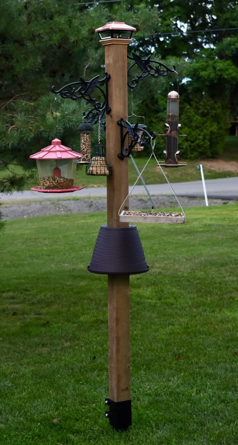 Bird Feeder Stands Ideas, Wood Bird Feeder Stand, Diy Squirrel Proof Bird Feeder Pole, Bird Sanctuary Ideas Backyards Diy, Bird Feeder Poles Ideas Diy, Bird Feeder Station Ideas Diy Wood, Bird House Pole Ideas, Squirrel Baffle Diy Ideas, Bird Feeder Posts Diy Ideas