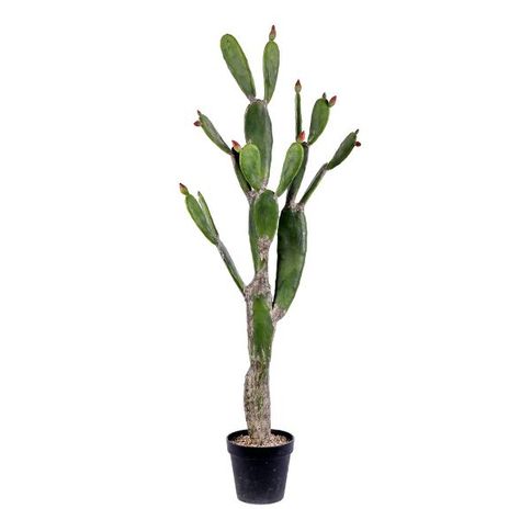 Vickerman Artificial Potted Cactus : Target Fake Cactus Plants, Fake Cactus, Types Of Cactus, Tall Cactus, Large Cactus, Artificial Cactus, Potted Cactus, Faux Cactus, Artificial Plants And Trees