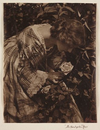 The Soul of the Rose - Emma Barton (1872-1938) - c. 1905 The Soul Of The Rose, Soul Of The Rose, Name Of The Rose, John Everett Millais, Old Portraits, Portrait Vintage, Old Photography, National Photography, Pre Raphaelite