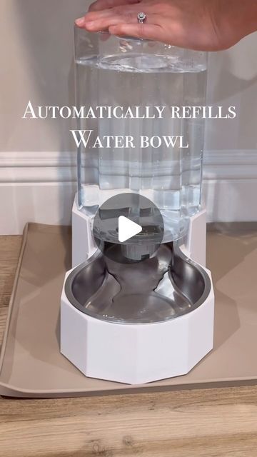 Nicole Boyle on Instagram: "Comment link. This automatic water dispenser for pets is a game changer. This one is 8L but comes in other sizes too. The silicone mat is in taupe and helps with spills and messes. Comes in other sizes and colors. Comment link for details." Hidden Litter Boxes, Dog Water Dispenser, Silicone Mat, Scratching Post, Water Bowl, Water Dispenser, Beautiful Animals, Litter Box, Pet Beds