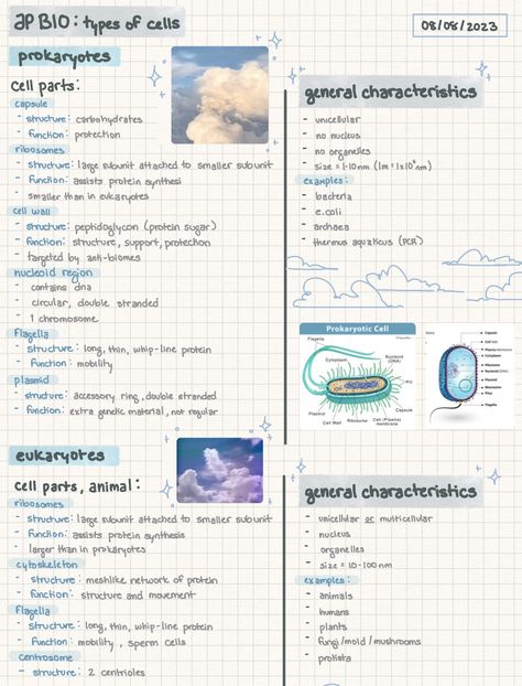 School Notes Template | Aug 08 2023 - Notability Gallery Keynote Journal Template, Note Format Layout, Textbook Notes Templates, Digital School Notes, Notes Aesthetic Notability, Language Notes Template, Notes Digital Aesthetic, Good Notes Study Templates, Notes Format Layout