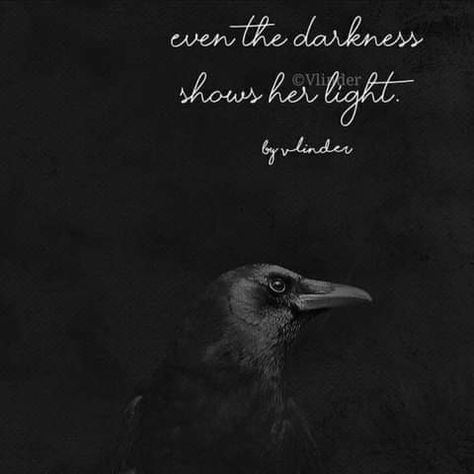 Quotes About Ravens, Befriending Crows, Crow Quotes, Raven Core, Raven Quotes, Luna Tattoo, Raven Nevermore, Black Soul, Counting Crows