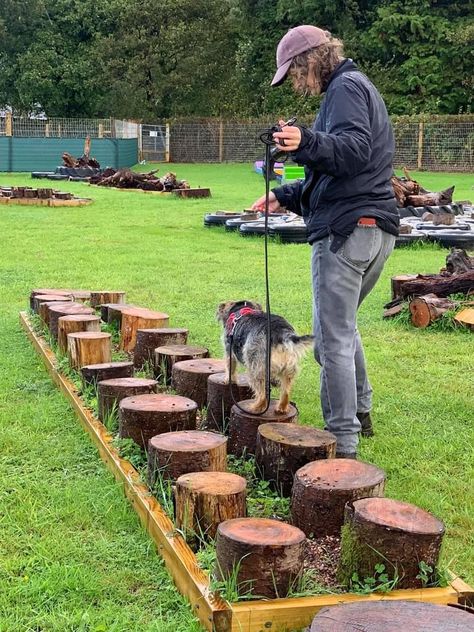 Backyard Agility Course For Dogs, Sensory Yard For Dogs, Dog Sensory Yard, Dog Climbing Structure, Diy Dog Agility Course Backyards, Diy Dog Park Backyard, Indoor Dog Park Ideas, Dog Playground Diy, Sniffspot Ideas