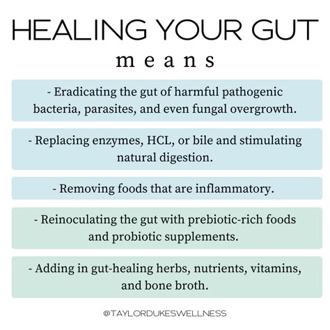 Anti Yeast Diet, Hormone Cycle, Heal Gut, Gut Dysbiosis, Drinking Bone Broth, Gut Protocol, Healing Your Gut, Wellness Content, Thyroid Healing