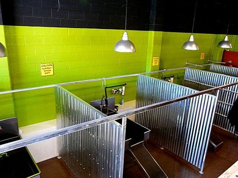 Dog Wash Business, Diy Dog Wash, Dog Daycare Business, Dog Bath Tub, Dog Boarding Facility, Dog Grooming Tubs, Dog Kennel Designs, Hotel Business, Dog Grooming Shop