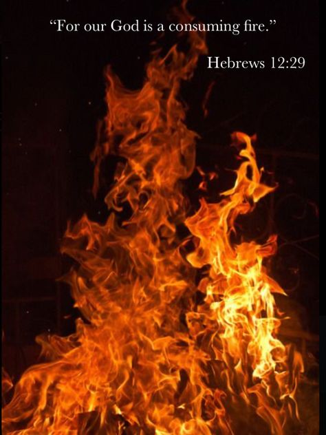 Consuming Fire, Hebrews 12, Corrie Ten Boom, New American Standard Bible, Thankful Heart, Advent Season, Life Journey, Names Of God, Reading Plan