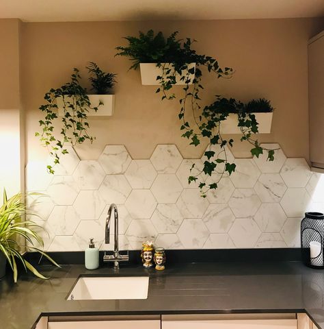 Hexagon Wall Tiles Kitchen, Hexagonal Kitchen Tiles, Kitchen Tiles Hexagon, Hexagon Tiles Kitchen, Kitchen Wall Tiles Ideas, Hexagon Tile Wall, Hexagon Tile Kitchen, Hexagon Kitchen, Tiles In Kitchen