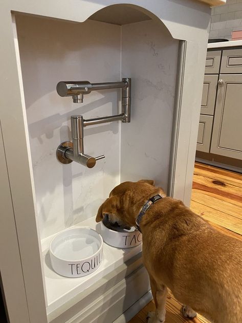 Where To Put Pet Food Bowls, Dog Crate Food And Water, Dog Water Pot Filler, Dog Food In Island, Dog Water Bowl Kitchen Island, Dog Water Bowl Pot Filler, Dog Bowl Area In Kitchen, Floating Dog Bowls, Dog Food Drawer In Kitchen