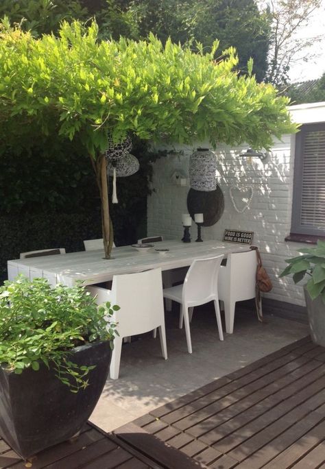 natural-tree-like-umrella Balcony Canopy, Terraced Garden, Green Backyard, Have Inspiration, The Secret Garden, Outdoor Inspirations, Outdoor Umbrella, Patio Umbrellas, Back Garden