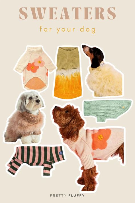 various images of dogs wearing cute dog sweaters in different styles and colors with heading "sweaters for your dog" Dog Brands, Knitted Dog Sweater Pattern, Dog Trends, Living With Dogs, Dog Sweater Pattern, Pet Sweaters, Knit Dog Sweater, Dog Branding, Pet Sweater