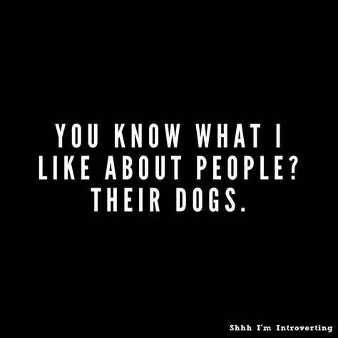 I Like Dogs More Than People, Certified Public Accountant, I Like Dogs, About People, I Love Dogs, Yorkie, Dog Cat, Dogs, Quick Saves