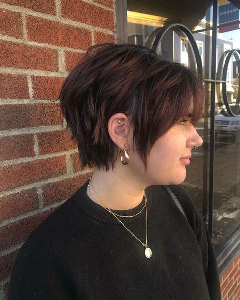 Winter Haircuts for Plus Size Women 2023-2024 22 Ideas Short Hair Round Face Plus Size, Short Hair Plus Size, Double Chin Hairstyles, Fat Face Haircuts, Pixie Cut Round Face, Winter Haircuts, Plus Size Hairstyles, Chubby Face Haircuts, Double Menton