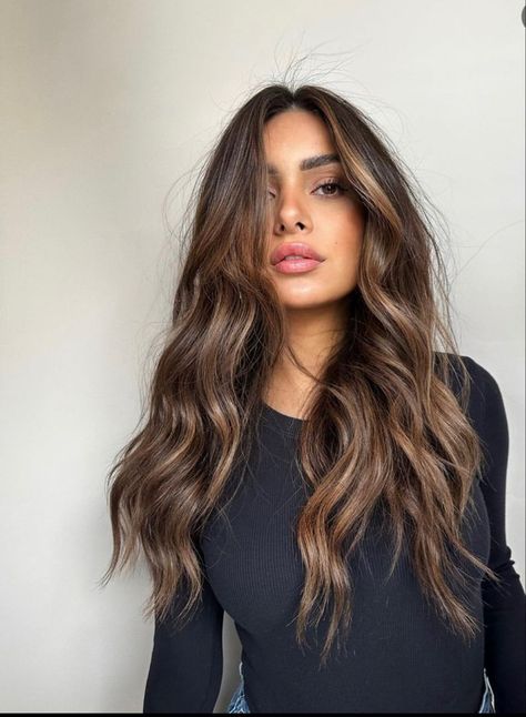 Brown Hair Trends, Rich Brown Hair, Rambut Brunette, Black Hair Balayage, Brown Hair Looks, Brown Hair Inspo, Brunette Hair With Highlights, Brunette Balayage Hair, Brown Hair Balayage