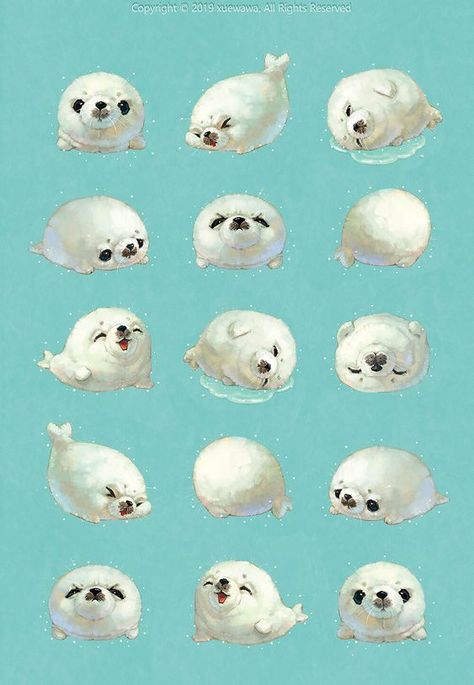 Cute Seal Drawing, Seal Drawing, Cute Seals, Cat Pose, Cute Animal Drawings Kawaii, Animal Activities, Illustration Painting, Cute Animal Drawings, Illustration Character Design